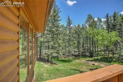 4036 Omer Ln, Divide, CO 80814 photo 34