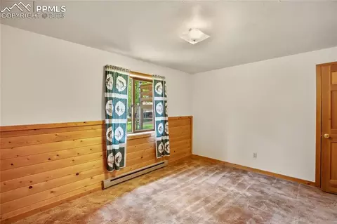 4036 Omer Ln, Divide, CO 80814 photo 30
