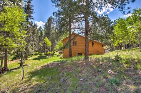 4036 Omer Ln, Divide, CO 80814 photo 36