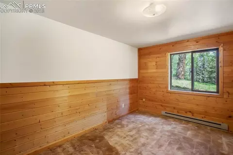 4036 Omer Ln, Divide, CO 80814 photo 31