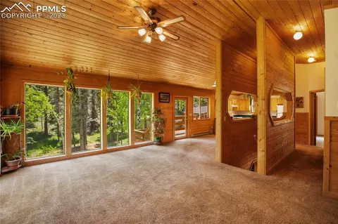 4036 Omer Ln, Divide, CO 80814 photo 23