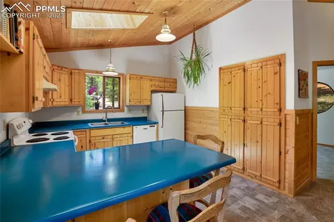 4036 Omer Ln, Divide, CO 80814 photo 13