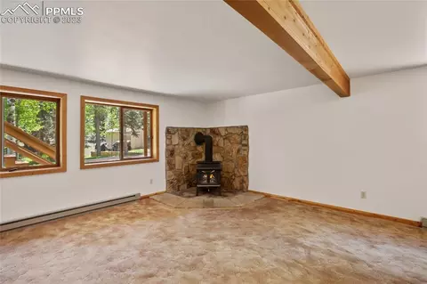 4036 Omer Ln, Divide, CO 80814 photo 26