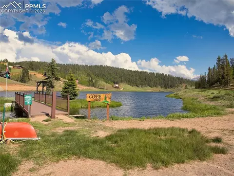 4036 Omer Ln, Divide, CO 80814 photo 46