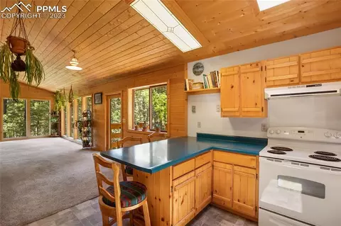 4036 Omer Ln, Divide, CO 80814 photo 14