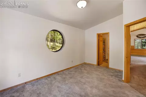 4036 Omer Ln, Divide, CO 80814 photo 17