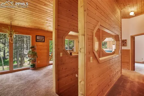 4036 Omer Ln, Divide, CO 80814 photo 22