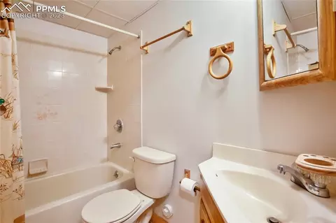 4036 Omer Ln, Divide, CO 80814 photo 28