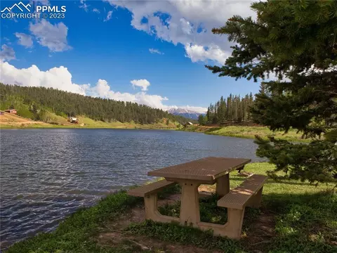 4036 Omer Ln, Divide, CO 80814 photo 49
