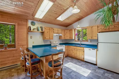 4036 Omer Ln, Divide, CO 80814 photo 11