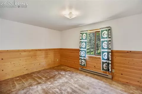 4036 Omer Ln, Divide, CO 80814 photo 29