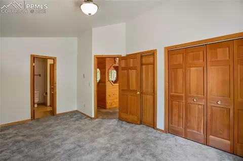 4036 Omer Ln, Divide, CO 80814 photo 18