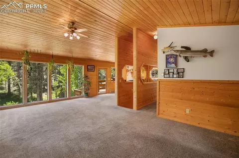 4036 Omer Ln, Divide, CO 80814 photo 7