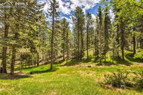 4036 Omer Ln, Divide, CO 80814 photo 43