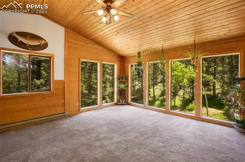 4036 Omer Ln, Divide, CO 80814 photo 9