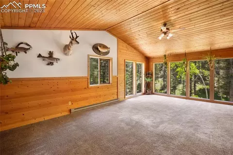4036 Omer Ln, Divide, CO 80814 photo 4