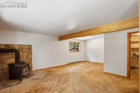 4036 Omer Ln, Divide, CO 80814 photo 24