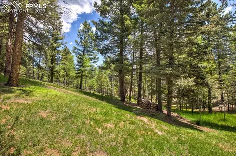 4036 Omer Ln, Divide, CO 80814 photo 42
