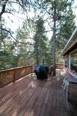 9805 Mohawk Trl, Cascade, CO 80809 photo 8