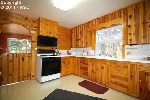9805 Mohawk Trl, Cascade, CO 80809 photo 11