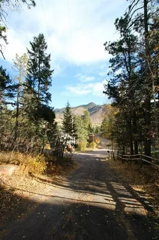 9805 Mohawk Trl, Cascade, CO 80809 photo 19