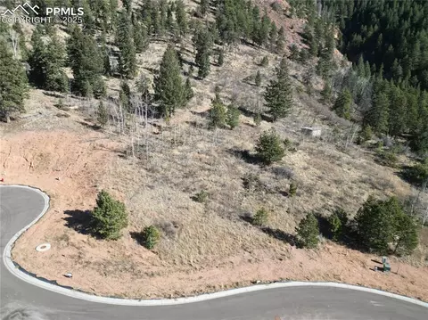 1385 Blue Haven Pl, Woodland Park, CO 80863