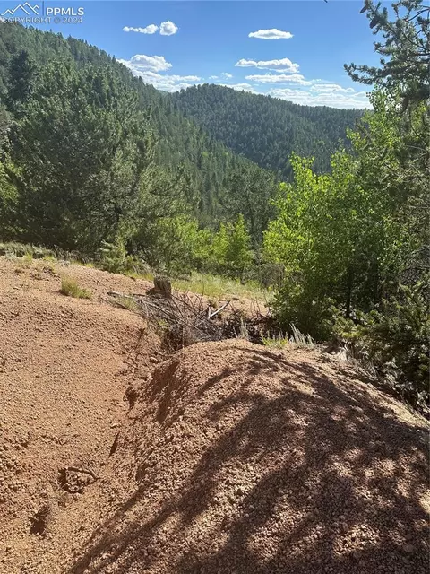 642 Oil Creek Dr, Divide, CO 80814