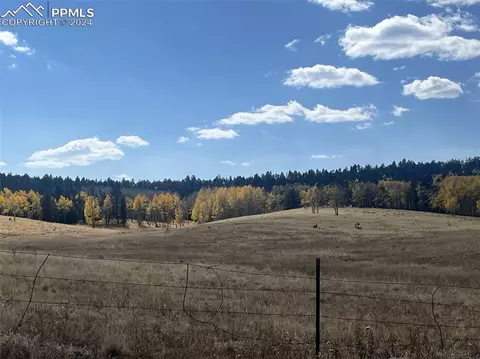 366 E Longbow Dr, Divide, CO 80814 photo 15