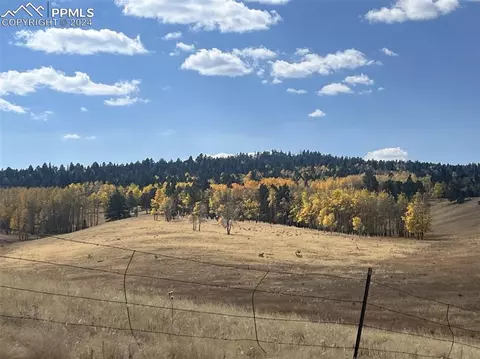 366 E Longbow Dr, Divide, CO 80814 photo 16