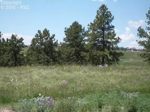 406 Silvermoon Hts, Divide, CO 80814 photo 1