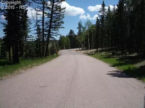 406 Silvermoon Hts, Divide, CO 80814 photo 3