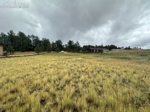 311 Homestead Ln, Florissant, CO 80816