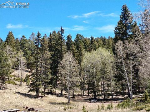 1060 Cantiberry Rd, Divide, CO 80814 photo 6
