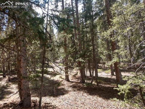 1060 Cantiberry Rd, Divide, CO 80814 photo 30