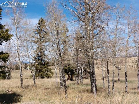 1060 Cantiberry Rd, Divide, CO 80814 photo 7