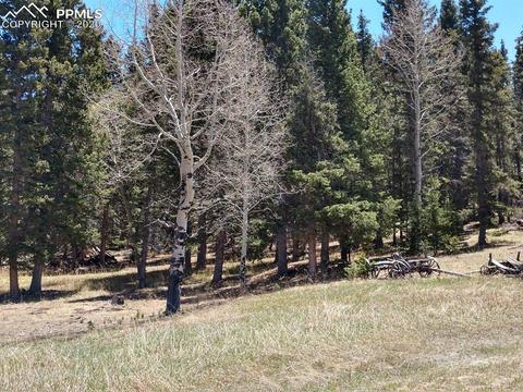 1060 Cantiberry Rd, Divide, CO 80814 photo 8