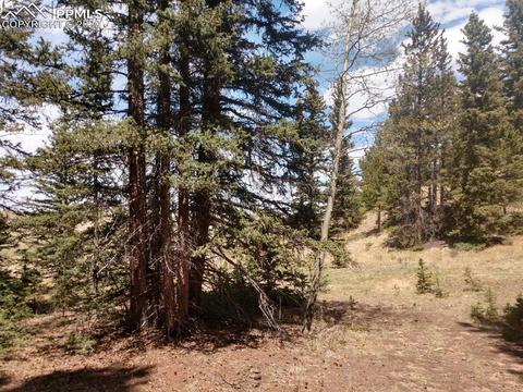 1060 Cantiberry Rd, Divide, CO 80814 photo 29