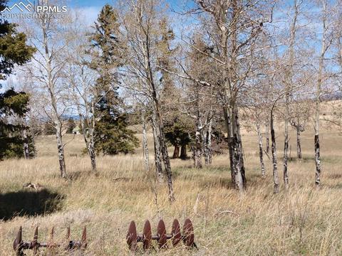 1060 Cantiberry Rd, Divide, CO 80814 photo 10