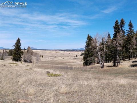 1060 Cantiberry Rd, Divide, CO 80814 photo 9