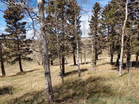 1060 Cantiberry Rd, Divide, CO 80814 photo 14