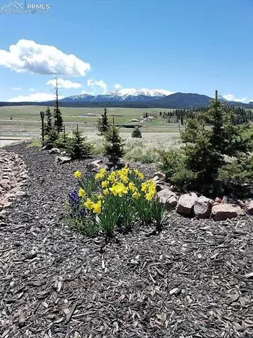 411 Meadow Park Dr, Divide, CO 80814 photo 40