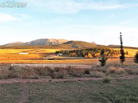 411 Meadow Park Dr, Divide, CO 80814 photo 42