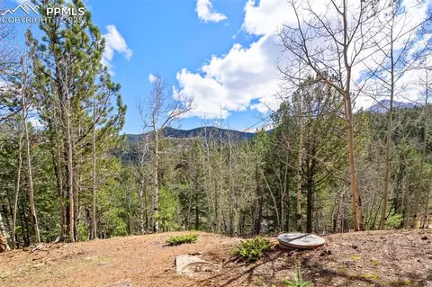 616 Timber Ridge Rd, Divide, CO 80814 photo 26