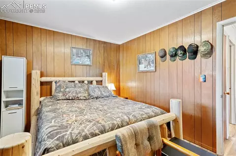 616 Timber Ridge Rd, Divide, CO 80814 photo 23