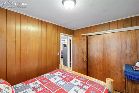 616 Timber Ridge Rd, Divide, CO 80814 photo 24