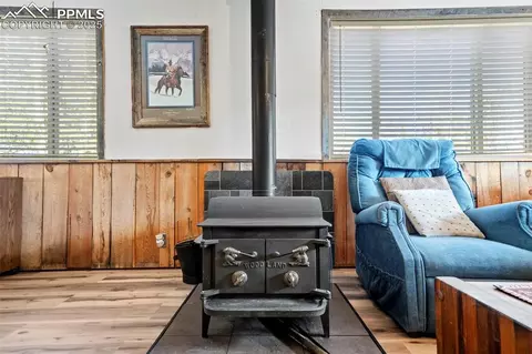 616 Timber Ridge Rd, Divide, CO 80814 photo 18