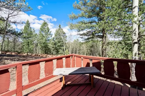 616 Timber Ridge Rd, Divide, CO 80814 photo 5