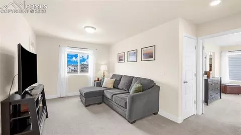 12676 Enclave Scenic Dr, Peyton, CO 80831 photo 29