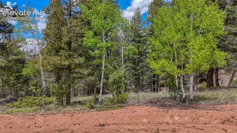 26 N Eldorado Cir, Florissant, CO 80816