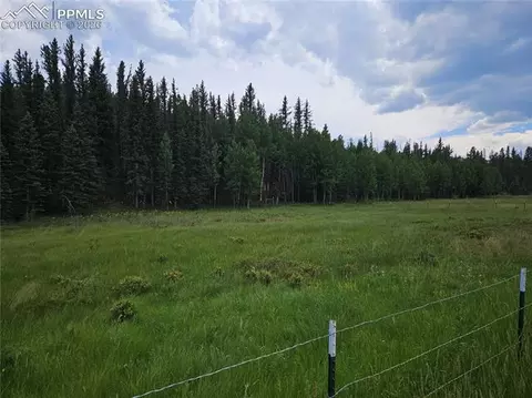 702 Lake Dr, Divide, CO 80814 photo 11